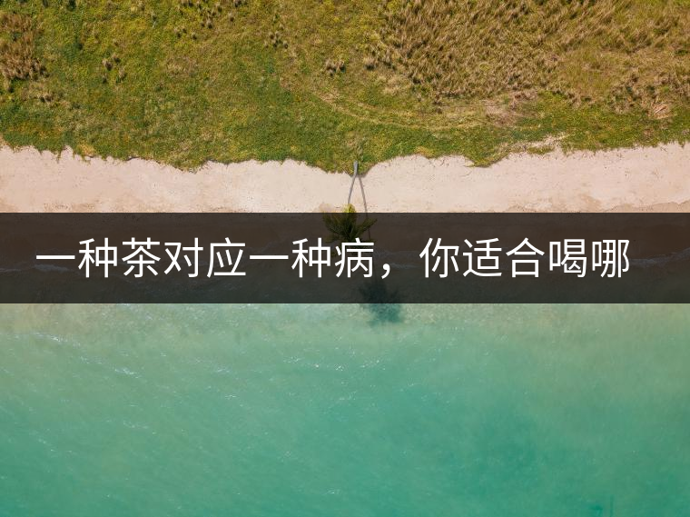 一種茶對應一種病，你適合喝哪一種呢？