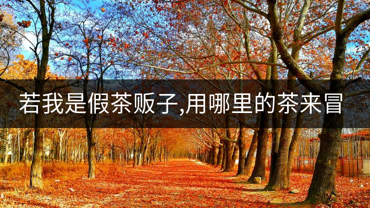 若我是假茶販子,用哪里的茶來(lái)冒充老班章/冰島/昔歸,才能讓你喝不透真假?