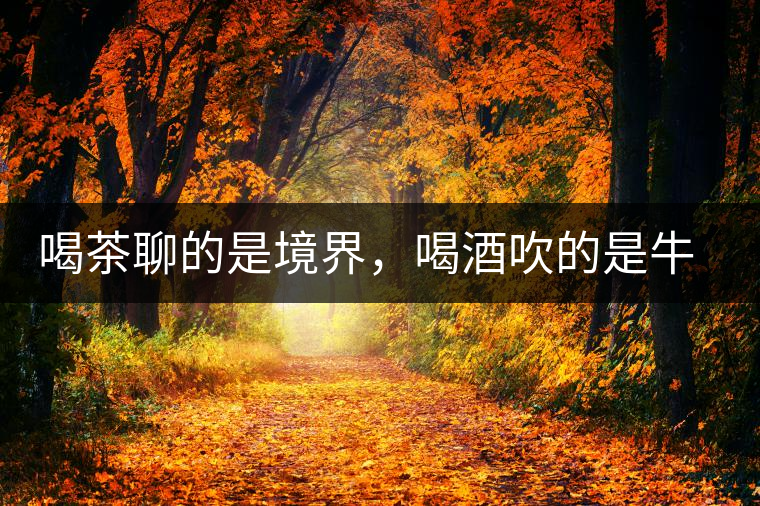 喝茶聊的是境界，喝酒吹的是牛皮