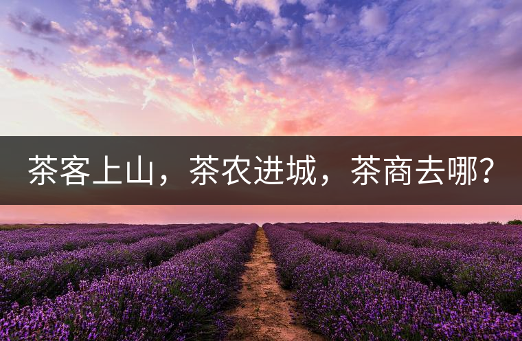 茶客上山，茶農(nóng)進城，茶商去哪？