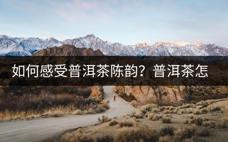 如何感受普洱茶陳韻？普洱茶怎么喝？