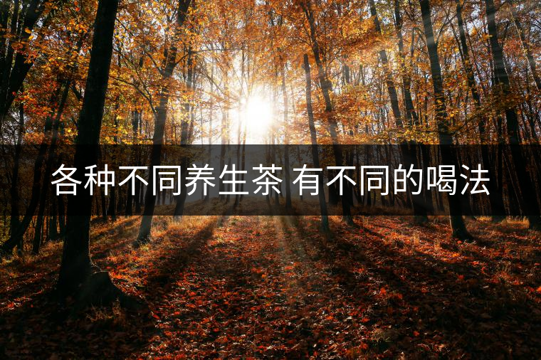 各種不同養(yǎng)生茶 有不同的喝法