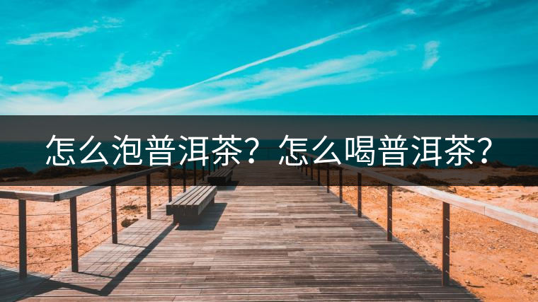 怎么泡普洱茶？怎么喝普洱茶？