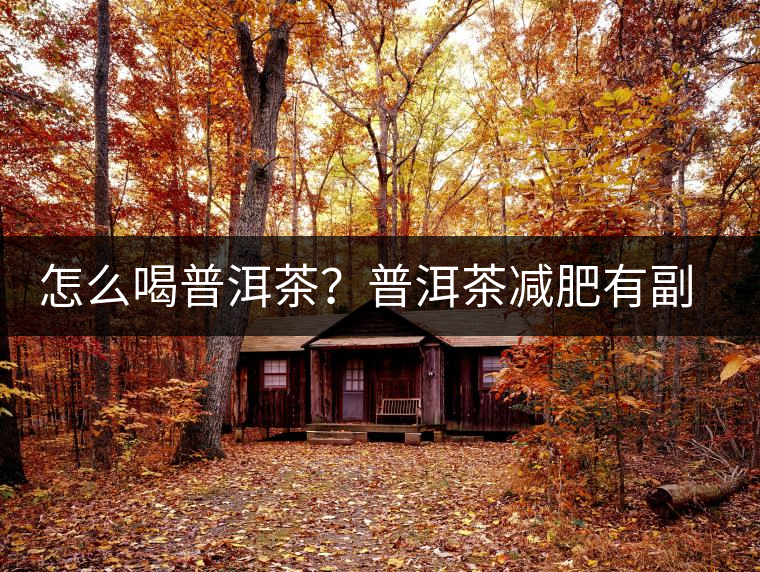 怎么喝普洱茶？普洱茶減肥有副作用嗎？