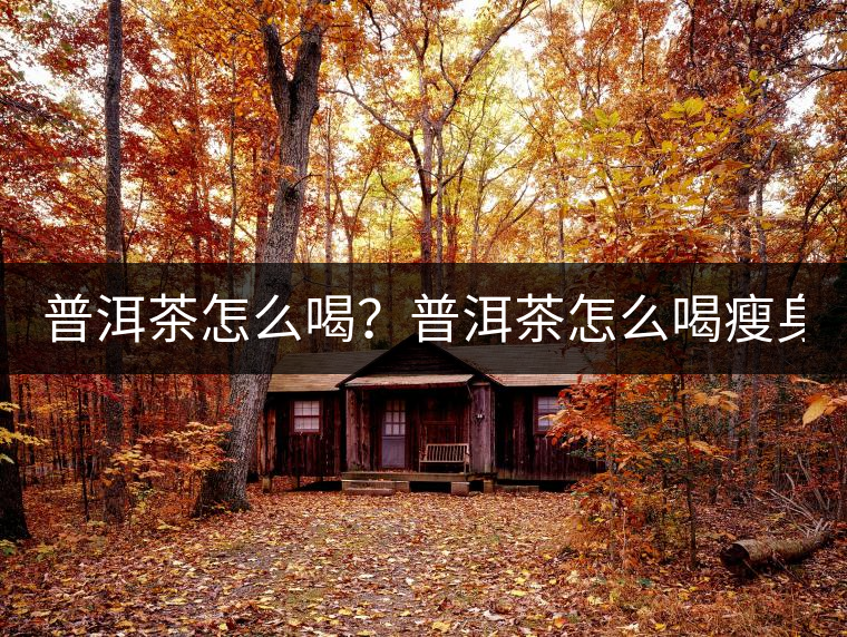 普洱茶怎么喝？普洱茶怎么喝瘦身？