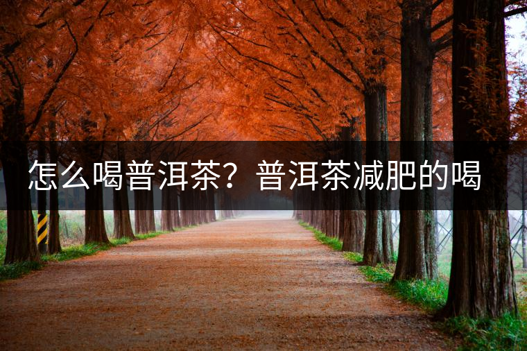 怎么喝普洱茶？普洱茶減肥的喝法