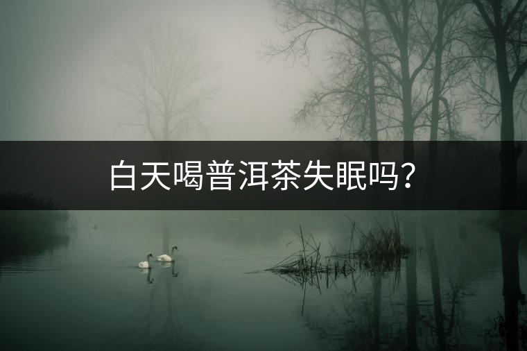 白天喝普洱茶失眠嗎？