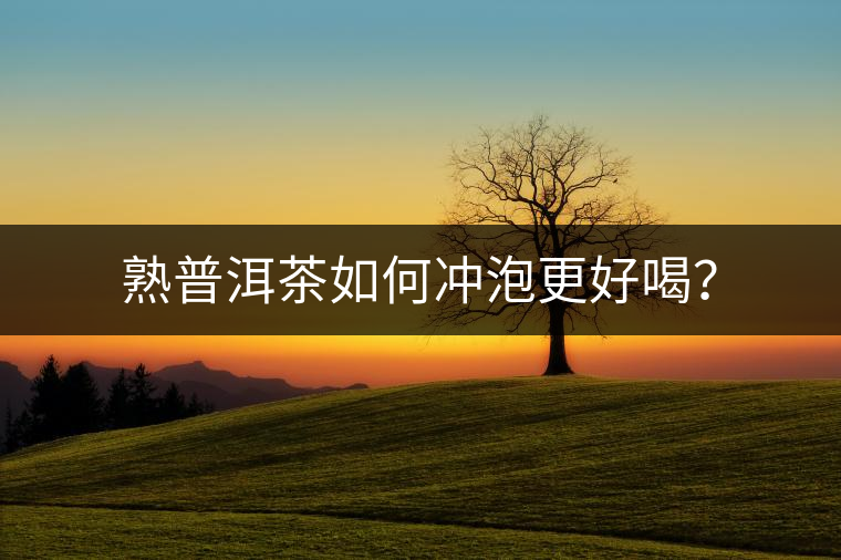 熟普洱茶如何沖泡更好喝？