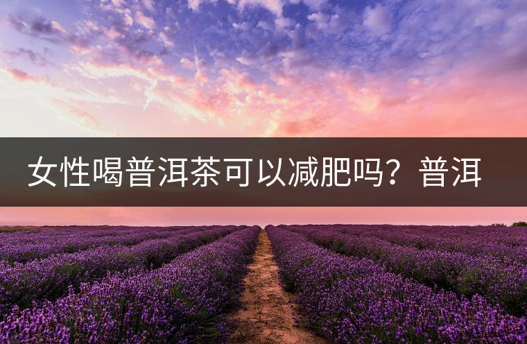女性喝普洱茶可以減肥嗎？普洱茶的功效又有哪些呢？
