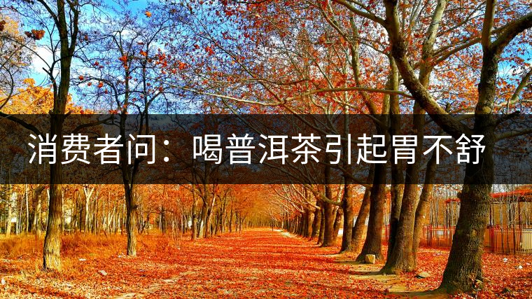 消費者問：喝普洱茶引起胃不舒服怎么辦？