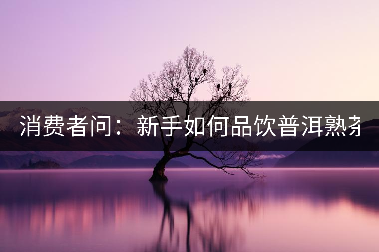 消費者問：新手如何品飲普洱熟茶？