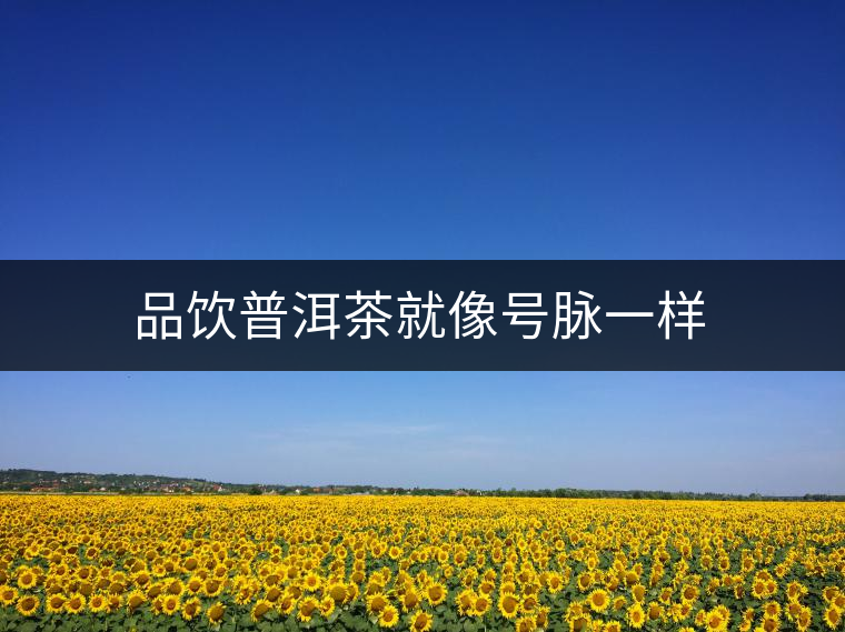 品飲普洱茶就像號脈一樣