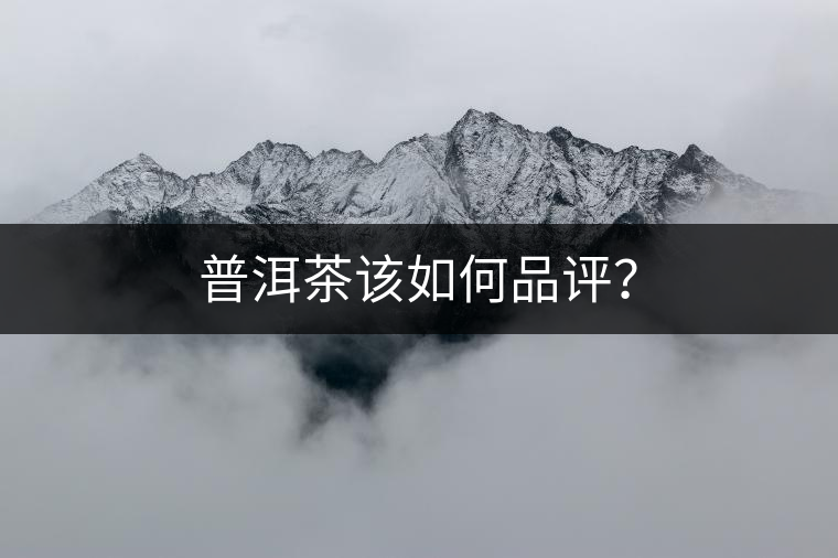 普洱茶該如何品評？