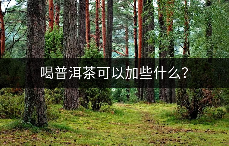 喝普洱茶可以加些什么？