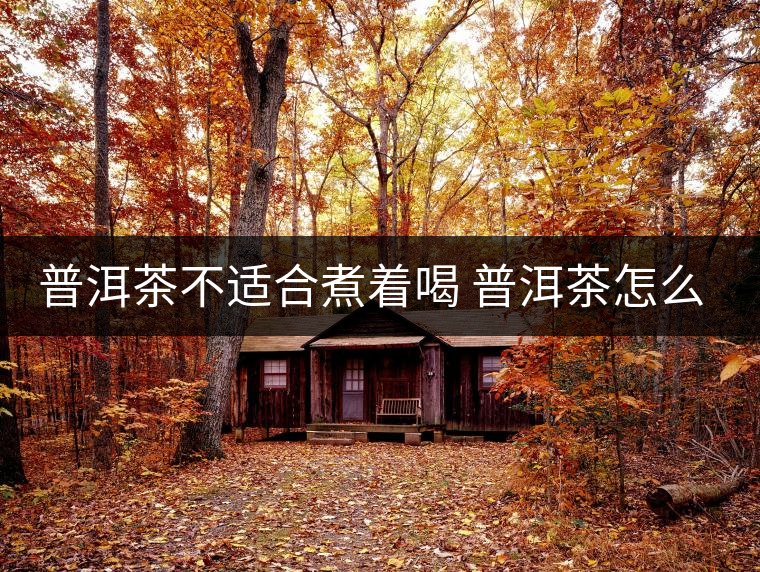 普洱茶不適合煮著喝 普洱茶怎么喝？