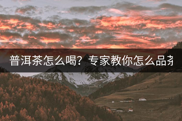 普洱茶怎么喝？專(zhuān)家教你怎么品茶？