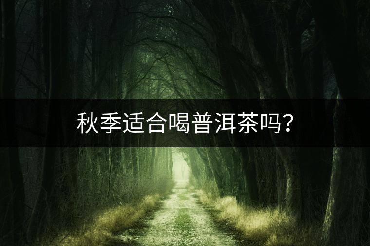 秋季適合喝普洱茶嗎？