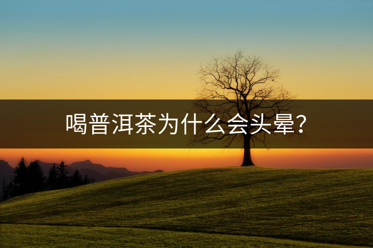 喝普洱茶為什么會(huì)頭暈？