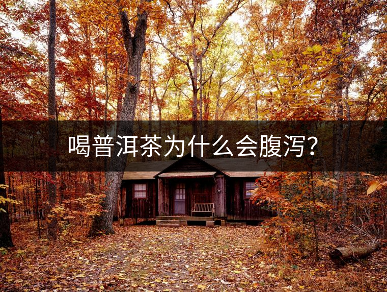 喝普洱茶為什么會(huì)腹瀉？