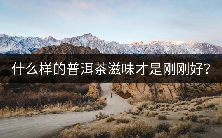 什么樣的普洱茶滋味才是剛剛好？