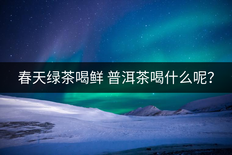 春天綠茶喝鮮 普洱茶喝什么呢？