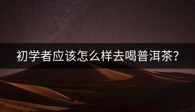 初學(xué)者應(yīng)該怎么樣去喝普洱茶？