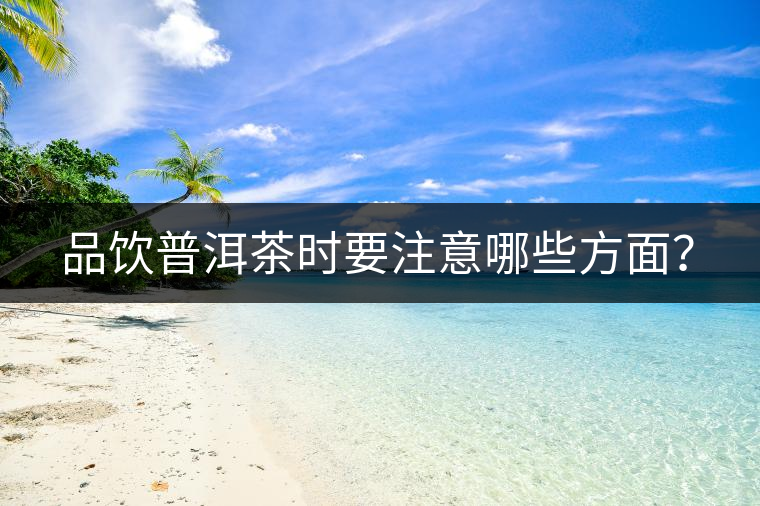 品飲普洱茶時要注意哪些方面？