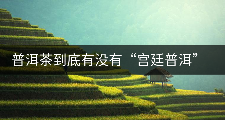 普洱茶到底有沒有“宮廷普洱”一說？它到底是什么？
