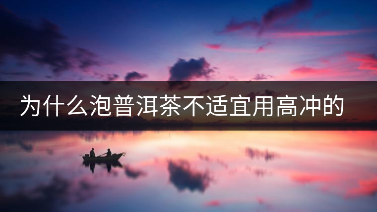 為什么泡普洱茶不適宜用高沖的方式，是有道理的