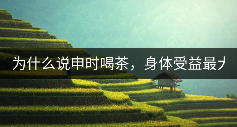 為什么說(shuō)申時(shí)喝茶，身體受益最大？