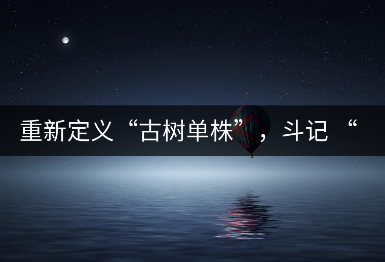 重新定義“古樹單株”，斗記 “超級審評”有償招募告罄在即！