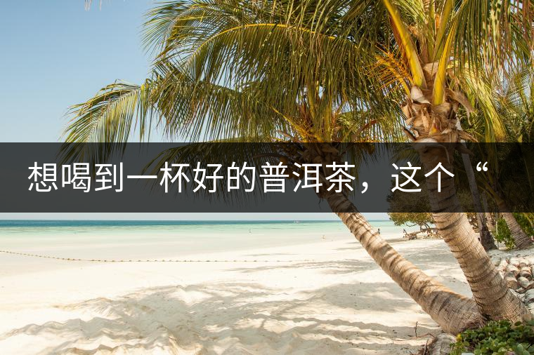 想喝到一杯好的普洱茶，這個(gè)“醒茶”步驟很關(guān)鍵