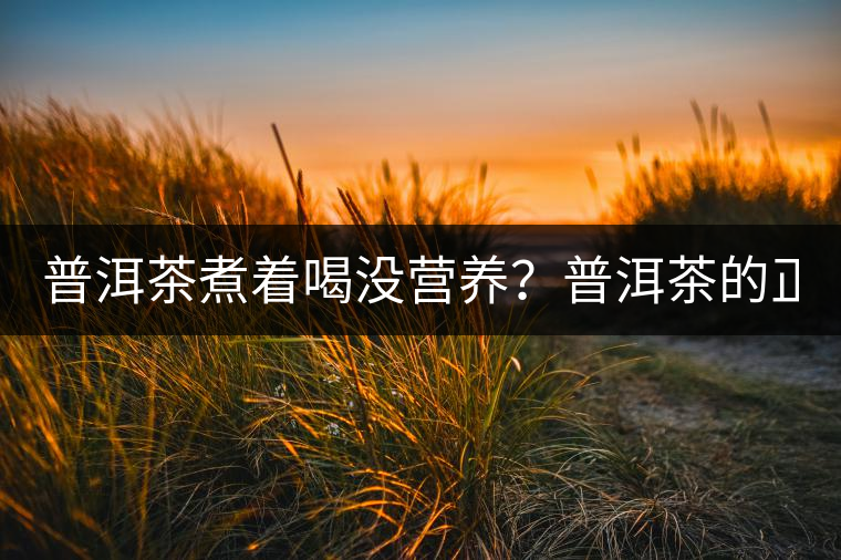 普洱茶煮著喝沒營養(yǎng)？普洱茶的正確煮法！