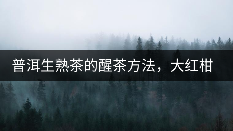 普洱生熟茶的醒茶方法，大紅柑與小青柑對比