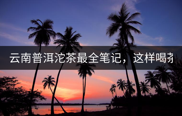 云南普洱沱茶最全筆記，這樣喝茶才更健康！