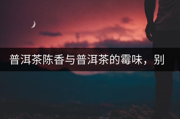 普洱茶陳香與普洱茶的霉味，別把它們給搞混了