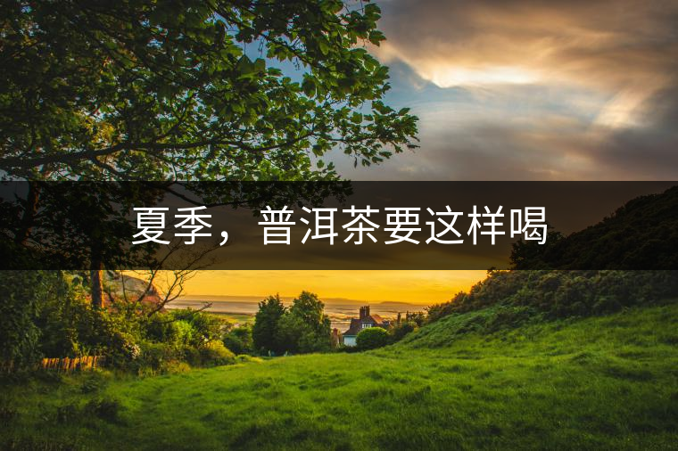 夏季，普洱茶要這樣喝