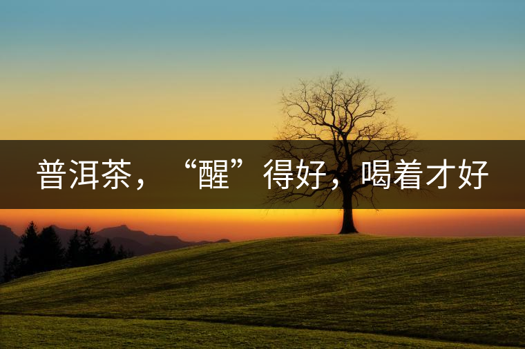 普洱茶，“醒”得好，喝著才好