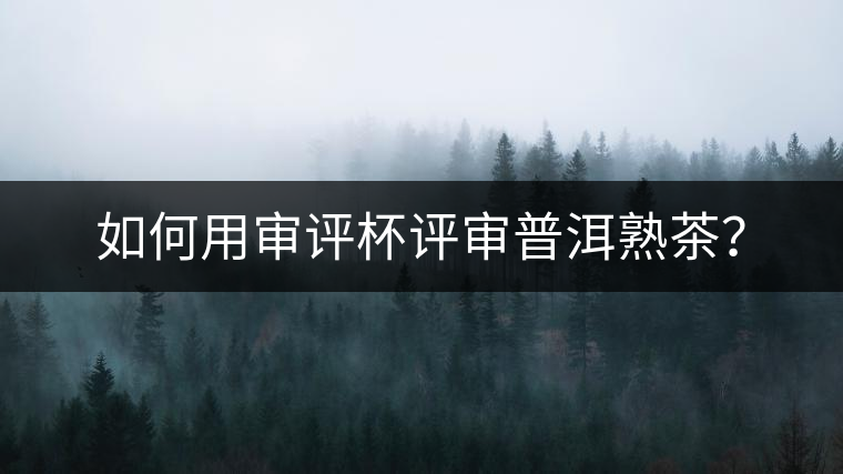 如何用審評杯評審普洱熟茶？