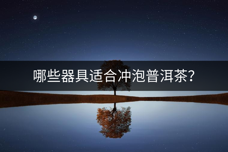 哪些器具適合沖泡普洱茶？