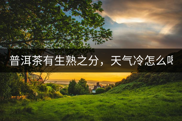 普洱茶有生熟之分，天氣冷怎么喝？