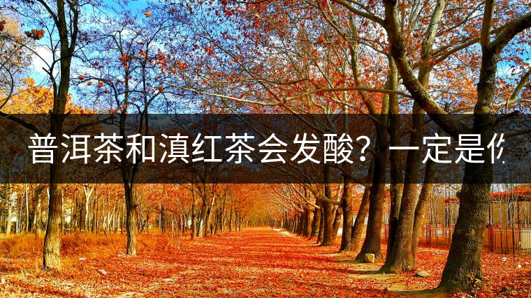 普洱茶和滇紅茶會(huì)發(fā)酸？一定是你這么做了！