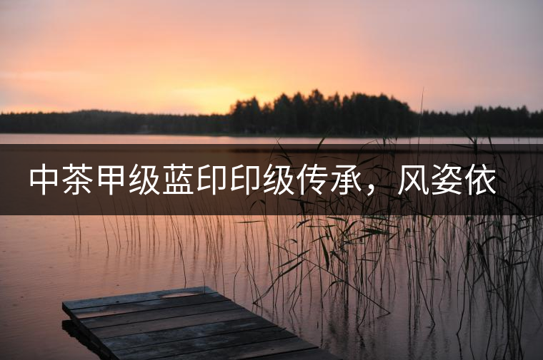 中茶甲級藍(lán)印印級傳承，風(fēng)姿依舊