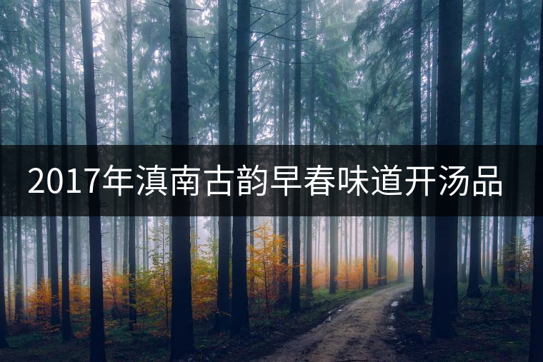 2017年滇南古韻早春味道開湯品鑒 2017年滇南古韻早春味道開湯品鑒