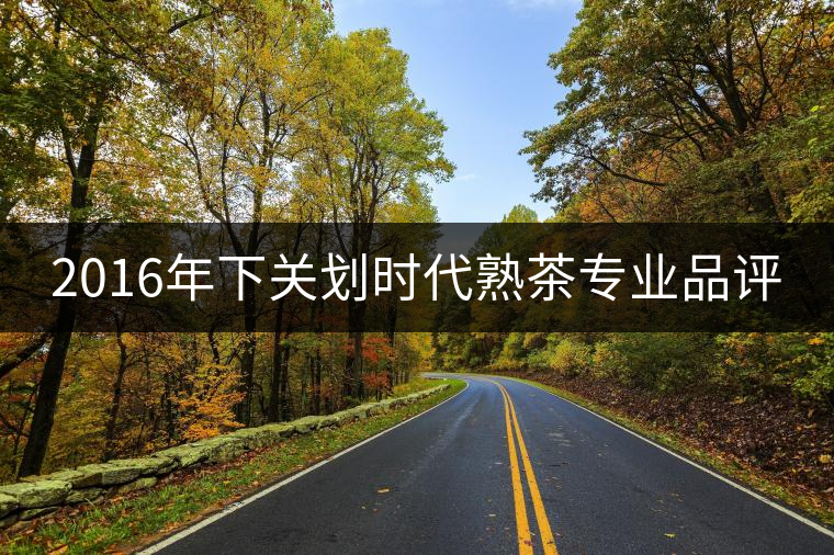 2016年下關(guān)劃時(shí)代熟茶專業(yè)品評(píng) 2016年下關(guān)劃時(shí)代熟茶專業(yè)品評(píng)
