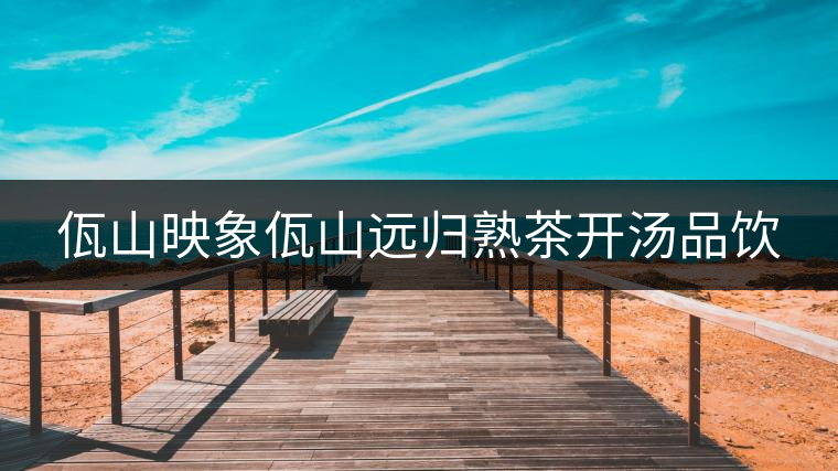 佤山映象佤山遠(yuǎn)歸熟茶開湯品飲