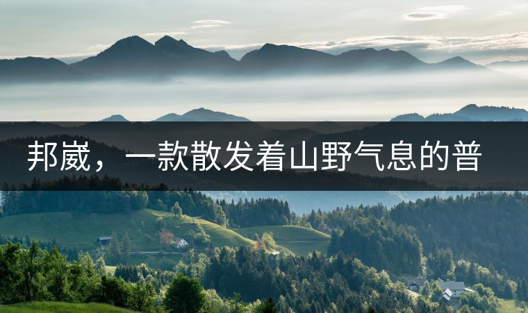 邦崴，一款散發(fā)著山野氣息的普洱