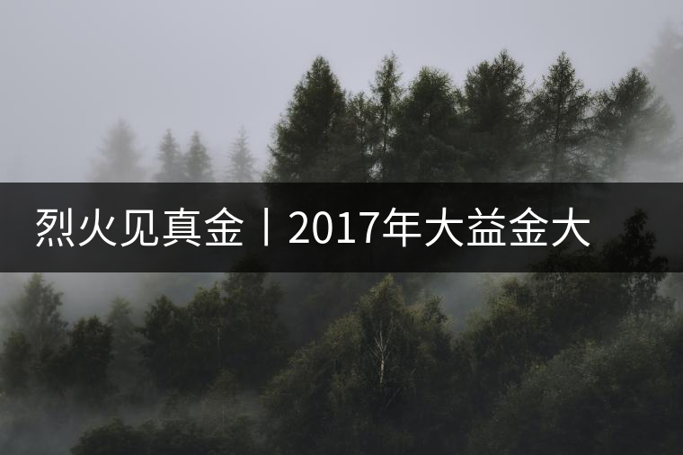 烈火見(jiàn)真金丨2017年大益金大益“金”美再現(xiàn) 烈火見(jiàn)真金丨2017年大益金大益“金”美再現(xiàn)