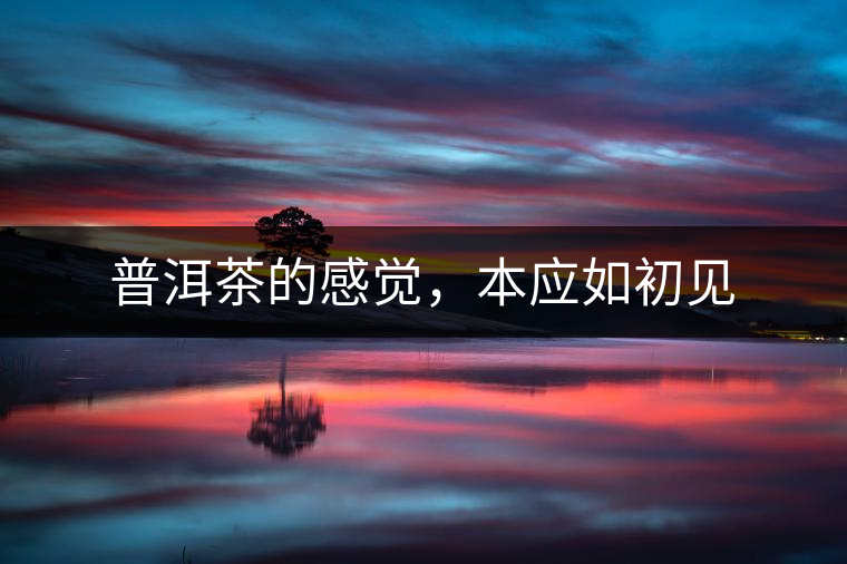 普洱茶的感覺，本應(yīng)如初見