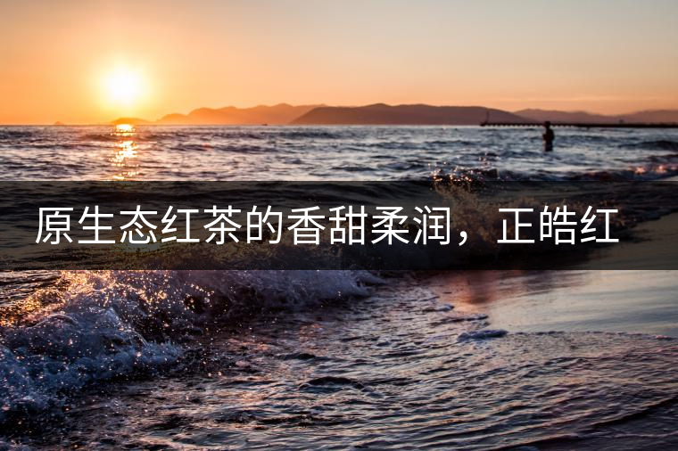 原生態(tài)紅茶的香甜柔潤，正皓紅的魅力無可抵擋！